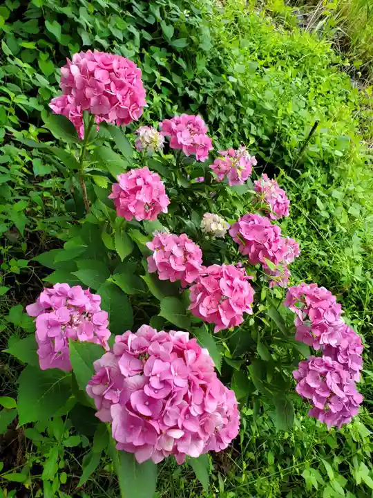 高司神社〜むすびの神の鎮まる社〜(福島県)
