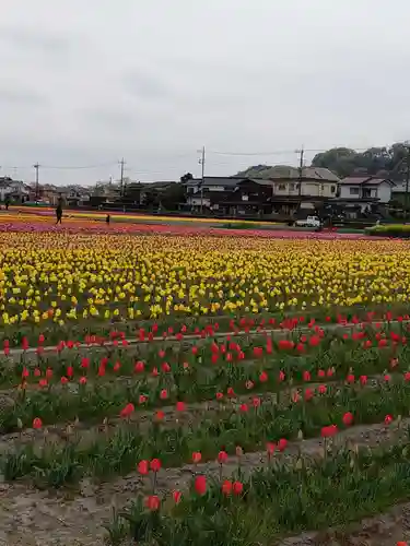 阿蘇神社の周辺