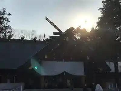 北海道神宮の本殿・本堂