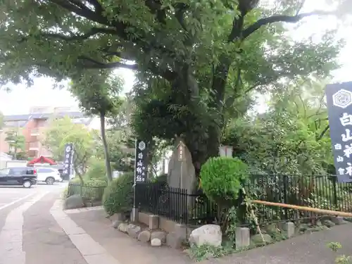 白山神社(東京都)