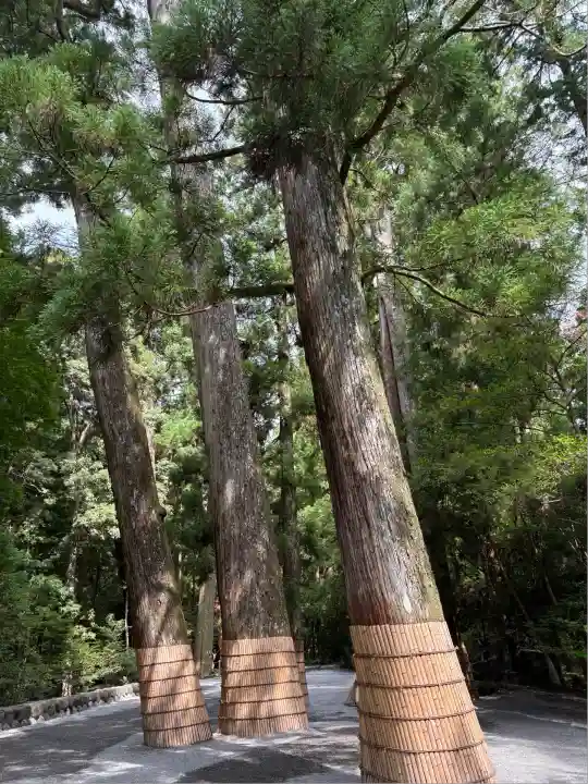 伊勢神宮内宮(皇大神宮)(三重県)