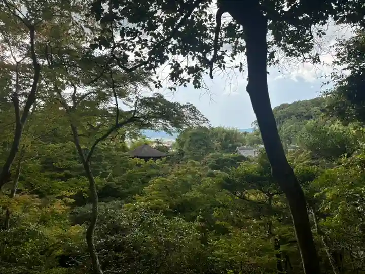 慈照寺(慈照禅寺・銀閣寺)の庭園