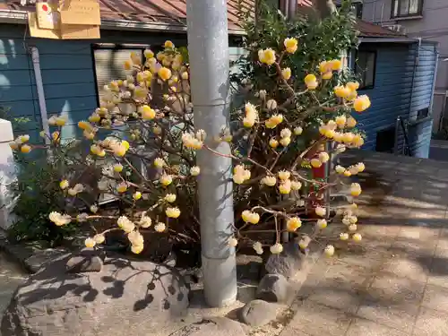 高輪神社(東京都)