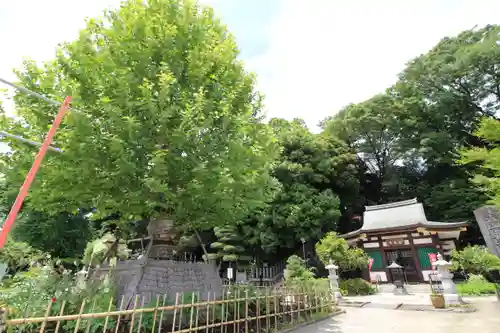 瀧泉寺（目黒不動尊）(東京都)