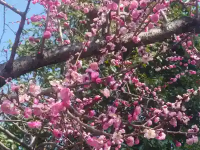 福泉寺(神奈川県)
