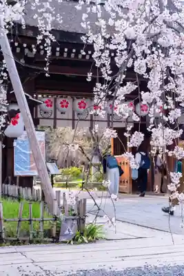 平野神社(京都府)