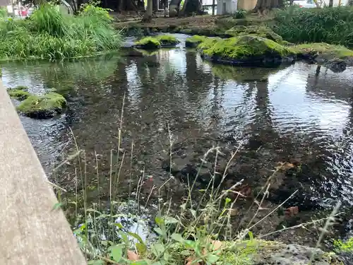 三嶋大社の庭園