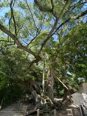 大山祇神社(愛媛県)