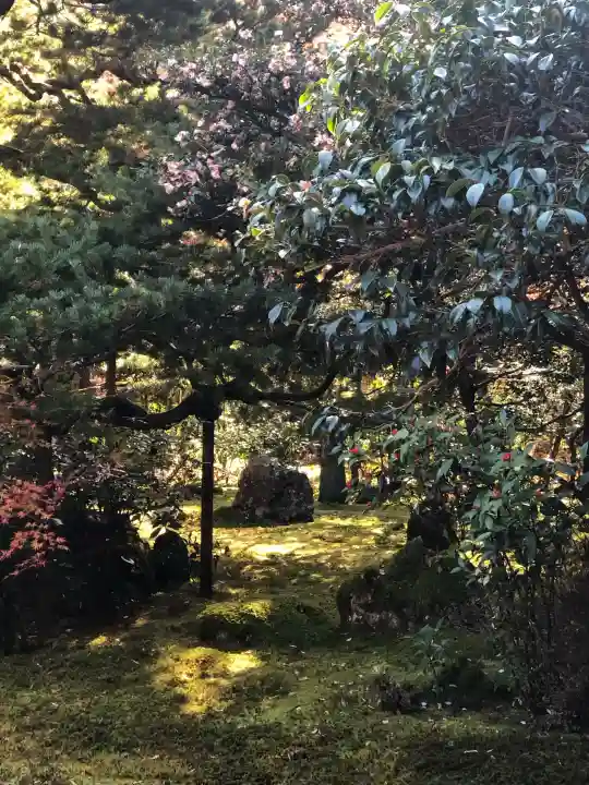 地蔵院の{uncategorized: "未分類", other: "その他", undefined: "問題あり", building: "その他建物", grave: "お墓", sacred_gate: "鳥居", guardian: "狛犬", statue: "像", buddha: "仏像", history: "歴史", nature: "自然", garden: "庭園", animal: "動物", pagoda: "塔", temizu: "手水舎", mountain_gate: "山門・神門", sanctuary: "本殿・本堂", subordinate: "末社・摂社", art: "芸術", scenery: "景色", jizo: "地蔵", ema: "絵馬", goshuin: "御朱印", omikuji: "おみくじ", items: "授与品その他", amulet: "お守り", goshuincho: "御朱印帳", eats: "食事", festival: "お祭り", votive_dance: "神楽", shichigosan: "七五三参", wedding: "結婚式", experience: "体験その他", initially: "初詣", around: "周辺", anti_infection: "感染症対策"}