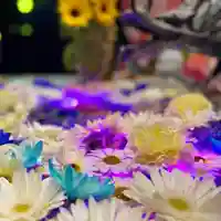 札幌諏訪神社の手水舎