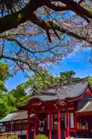 鹿児島神宮の本殿・本堂