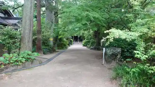 浄瑠璃寺(愛媛県)