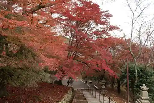 園城寺（三井寺）(滋賀県)