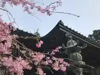 施福寺の自然