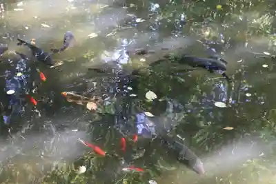 白石神社(北海道)