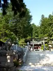 櫻山八幡宮(岐阜県)