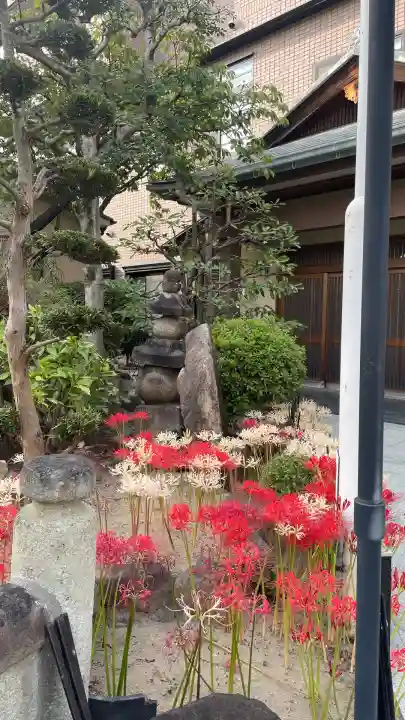 瑞光寺(大阪府)