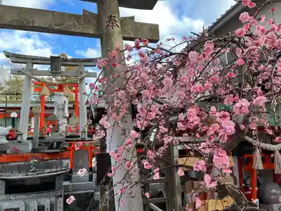 伏見稲荷大社(京都府)