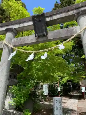 渋川八幡宮の鳥居