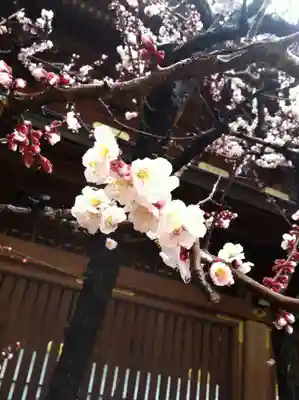 湯島天満宮(東京都)