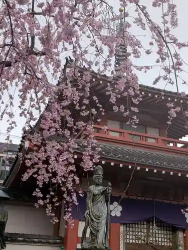 新井薬師（梅照院）(東京都)