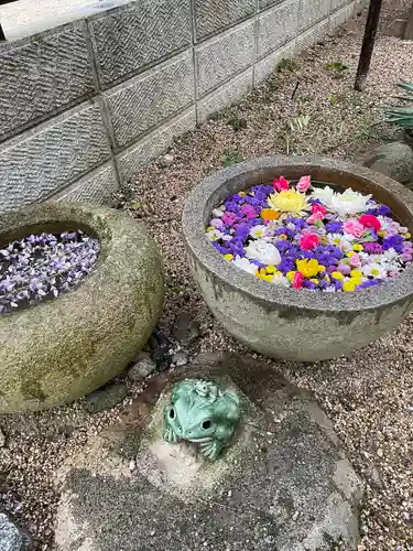 太巌寺（ふじの寺）(三重県)