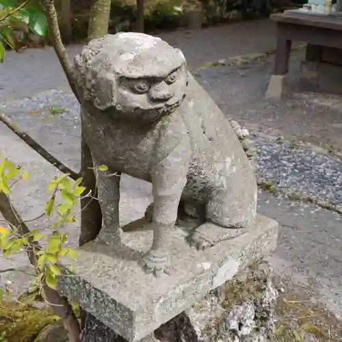 温泉神社の狛犬