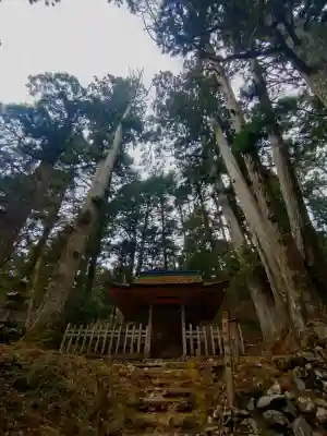 高野山金剛峯寺奥の院の{uncategorized: "未分類", other: "その他", undefined: "問題あり", building: "その他建物", grave: "お墓", sacred_gate: "鳥居", guardian: "狛犬", statue: "像", buddha: "仏像", history: "歴史", nature: "自然", garden: "庭園", animal: "動物", pagoda: "塔", temizu: "手水舎", mountain_gate: "山門・神門", sanctuary: "本殿・本堂", subordinate: "末社・摂社", art: "芸術", scenery: "景色", jizo: "地蔵", ema: "絵馬", goshuin: "御朱印", omikuji: "おみくじ", items: "授与品その他", amulet: "お守り", goshuincho: "御朱印帳", eats: "食事", festival: "お祭り", votive_dance: "神楽", shichigosan: "七五三参", wedding: "結婚式", experience: "体験その他", initially: "初詣", around: "周辺", anti_infection: "感染症対策"}