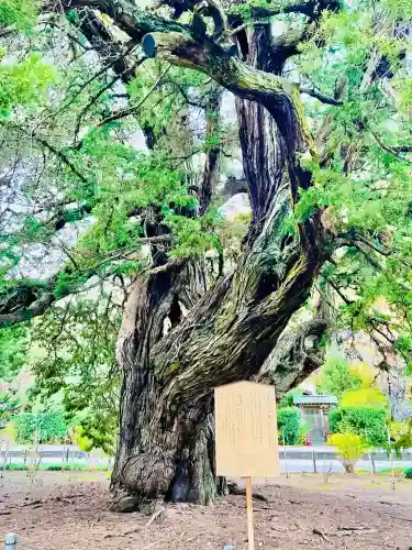 建長寺(神奈川県)