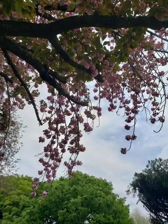 東光寺(東京都)