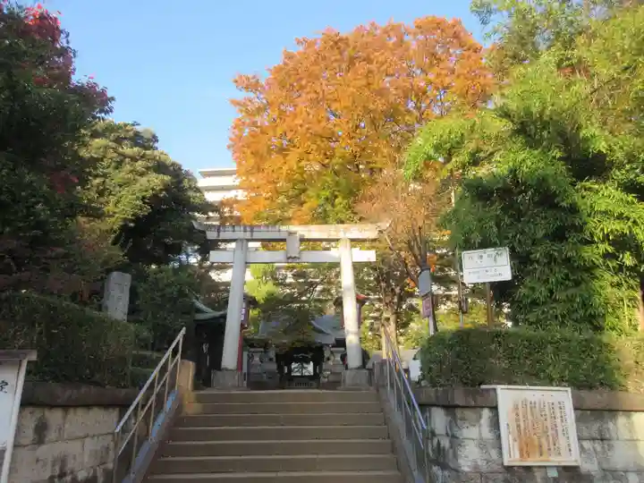 江古田氷川神社(東京都)