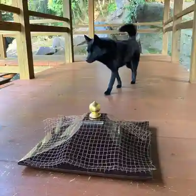 定林山　能成寺の動物