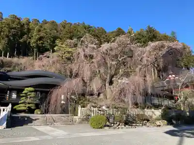 久遠寺(山梨県)