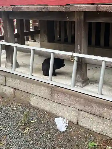 小坂子八幡神社(群馬県)
