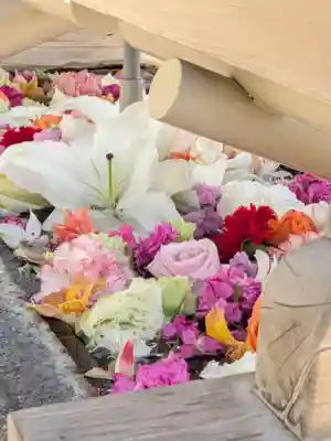 鳩森八幡神社(東京都)
