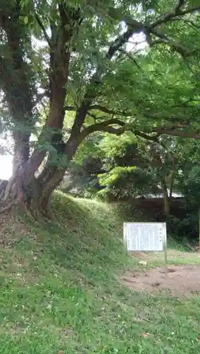 氷川神社の周辺