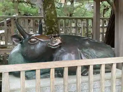 出雲大社(島根県)