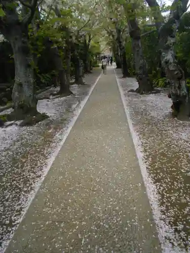 極楽寺（霊鷲山感應院極楽律寺）のその他建物