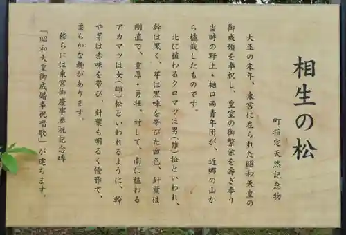 宝登山神社の歴史