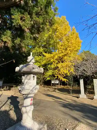 鎌数伊勢大神宮(千葉県)