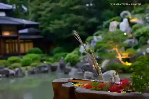 根来寺 智積院の庭園