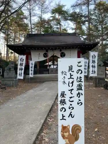 白根神社の{uncategorized: "未分類", other: "その他", undefined: "問題あり", building: "その他建物", grave: "お墓", sacred_gate: "鳥居", guardian: "狛犬", statue: "像", buddha: "仏像", history: "歴史", nature: "自然", garden: "庭園", animal: "動物", pagoda: "塔", temizu: "手水舎", mountain_gate: "山門・神門", sanctuary: "本殿・本堂", subordinate: "末社・摂社", art: "芸術", scenery: "景色", jizo: "地蔵", ema: "絵馬", goshuin: "御朱印", omikuji: "おみくじ", items: "授与品その他", amulet: "お守り", goshuincho: "御朱印帳", eats: "食事", festival: "お祭り", votive_dance: "神楽", shichigosan: "七五三参", wedding: "結婚式", experience: "体験その他", initially: "初詣", around: "周辺", anti_infection: "感染症対策"}