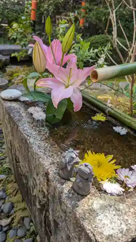 宝蔵寺(京都府)