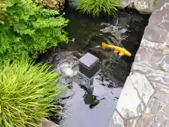 浄土真宗本願寺派高輪山浄立寺(東京都)