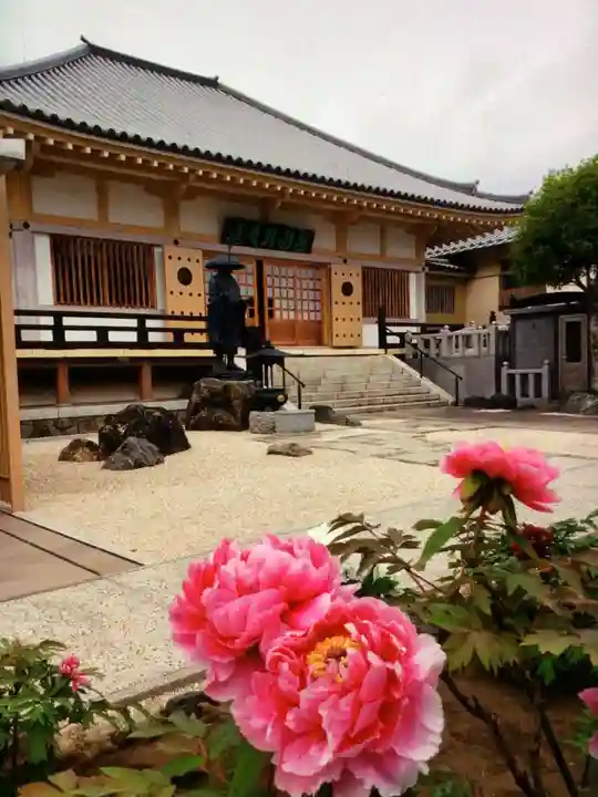 禅定院(東京都)