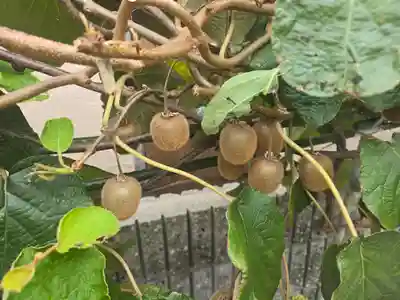 西教寺(大阪府)