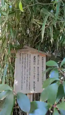 川越氷川神社(埼玉県)