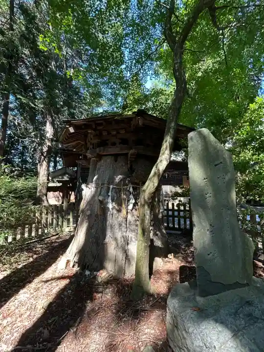 三柱神社(長野県)
