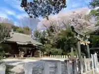 佐野赤城神社の本殿・本堂