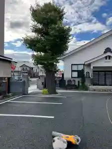 誓願寺 真言宗智山派(山形県)(2024年11月25日(月) 15時23分36秒投稿)